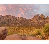 #208, Organ Mountains-Desert Peaks National Monument