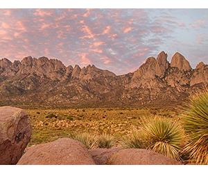 #208, Organ Mountains-Desert Peaks National Monument