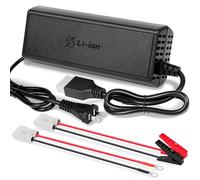 20A 12V LiFePO4 Battery Charger, 14.6V Lithium Battery Charger with M8 Terminals & Alligator Clips, Fast Charging, Over-Current and Over-Voltage Protection for 12V Lithium Iron Phosphate Batteries