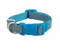 (20cm - 30cm, Blue) Ancol Patterned Collection Paw Print Reflective Dog Collar
