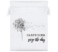 20cm 'Carpe Diem: Seize The Day' Satin Drawstring Bag/Pouch (SB00116027)