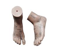 20cm Foot reflex zone massage model, not acupuncture model, English code TCM Feet Reflexology, 2pcs = 1 pair free