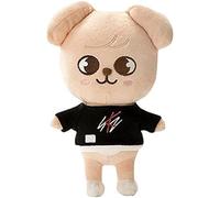 20cm Kpop Stray Kids Doll Plush Skzoo Cartoon Plush New Clothes SKZ Drawing for Fans (Puppym)