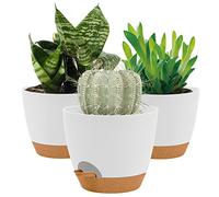 20CM Plant Pots Indoor,Self Watering Plant Pots of 3,Flower Pots with Drainage Holes and Trays,Decorative Modern Suitable for flowers,Snake Plant, Orchid,Lily,Aloe,Violet and House Plant(White)