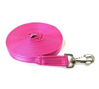 20ft 6m Horse Lunge Line Large Dog Training Lead Large 25mm Cushioned Webbing And Heavy Duty Fluted Trigger Clip In (Cerise)