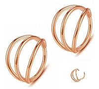 20G 18G 16G 14G Single/Double Hoop Stainless-Steel Seamless-Hinged-Piercing Segment-Clicker Nose-Ring-Hoop : Diameter 6mm 8mm 10mm 12mm ilage s