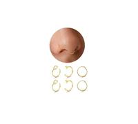 20G C-Shape Fake Nose Ring, 6Pcs Fake Lip Piercing, Hinged Nose Ring, No Piercing Required/Hypoallergenic / 316L Surgical Steel, for Nose/Lip/Septum/Cartilage(8mm/10mm)