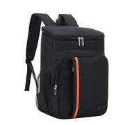 20L Insulated Portable Thermal Lunch Bag Food Box Waterproof Cooler Ice Case Camping Oxford Dinner Backpacks Icebox for Picnic(Black)