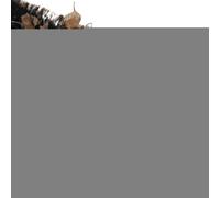 (20M) Groundmaster - Black Gutter Guard Brush - Drain Debris Downpipe Leaves Filter