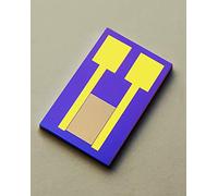 20µm Interdigitated Electrodes IDE Sensor Chip,30 Pairs | Ti/Au electrodes, ideal for biosensing