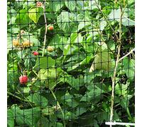 20m x 1m Heavy Duty Fruit Veg and Cage Netting Garden Pond Net Protection
