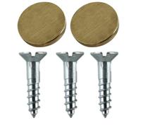 20mm Mirror Screw & 20mm Brushed Brass Flat Screw Caps Mirror Screws with Decorative Cap Covers Mirror Screws Fitting Set for Mirror Tables Bath Plates Wardrobes Glass Signs Pack of 20.