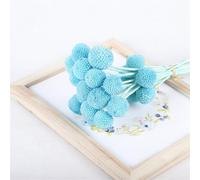 20Pcs(1.8-2.5CM) 20 "Natural Craspedia Dried Flowers Yellow Billy Buttons Balls Bouquet Bundles, Real Freshly Harvested Dry Plant Bunch Arrangements Decorate for Home Crafts, Party