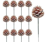 20pcs 2 Inch Snow Tipped Christmas Natural Pine Cones, Snowy Pine Cones For Craft Garland Xmas Tree Decorations Wreath Ornaments