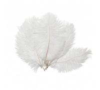 20Pcs 6-8inch White Ostrich Feathers DIY Craft Feather Plume for Dream Catcher Art Hats Home Wedding Party Table Decoration