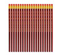 20Pcs Art Drawing Pencils Great for Beginner Profession Sketching Pencil Set for Art Sketching Sketch Wood Lead Pencils Children Learn Writing and