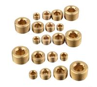 20Pcs Brass Hex Socket Pipe Set, 1/8 1/4 3/8 1/2 Inch NPT Internal Thread Fitting Adapter for Water Gas Oil Sealing, Gold Finish