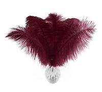 20pcs Burgundy Ostrich Feathers 10-12 inch (25-30cm) Bulk Feathers for Home Decoration and DIY Clothing and DIY Clothes Decoration, Gatsby Decorations
