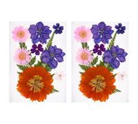 20Pcs Dried Pressed Flower For Resin Molds Natural Dry Leaves Art Craft Scrapbooking Jewelry Making Dried Handmade Project