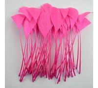 20pcs/lot Colorful Goose Feather Decoration 12-18cm Mint Geese Goose Feathers Crafts Dream Catcher Handicraft Accessories Plumes-Hot Pink