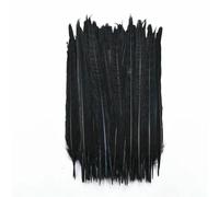 20pcs/Lot Dyed Black Feathers Rooster Goose Feathers for Jewelry Making Ostrich Pheasant Feathers for Crafts Carnaval Assesoires-25-30CM 10-12inch_a
