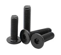 20pcs M2 .5 M3 Black 304 Stainless Steel CM Ultra-Thin Flat Head Hexagon Socket Screws Bolts(10mm,M2.5 (20pcs))