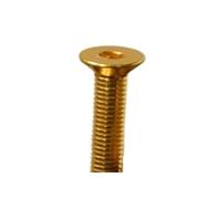 20pcs M2 .5 M3 M4 M5 Alloy Steel Titanium Plating Countersunk Flat Head Hexagon Socket Screws Length 4-10mm(8mm(FT),M4)