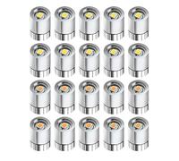 20pcs Miniature LED Lights - Warm White & Cool White Mini Electric Tiny Lights with 10 Extra Batteries for Dollhouses, Crafts, Paper Lanterns, and Decorative Projects - for DIY Accessories