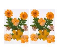 20Pcs Natural Dry Flower Leaf Set For Art Craft Scrapbooking Jewelry Making Pressed Dried Resin Molds Pressed Beginner