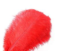 20pcs Natural Ostrich Feathers Plume 10-12inch(25-30cm) for Wedding Centerpieces Home Decoration (10-12inch,Red)