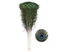 20pcs Natural Peacock Feathers Long Pole Bulk 40-45 inch for DIY Craft, Wedding Holiday Decorationn and Floral Arrangement