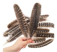 20pcs Natural Wild Turkey Wing Feathers Quill Bulk,10-12inch 25-30cm Turkey Tails Feathers for Craft DIY Jewelry Hat Wedding Home Party Decoration (20-25CM)