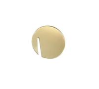 20pcs of Mirror Acrylic Disc Drink Tag, Acrylic Circle Drink Tags, Personalized Acrylic Drink Names, Blank Acrylic Drinking Tags (Gold Mirror)