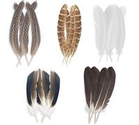 20Pcs Pheasant Feathers Decorations, 5 Styles Natural Feathers Mixed Spotted Craft Feathers Decors, Natural Pheasant Feathers for Crafting Hat Floral DIY Home Party Wedding Performance Supplies