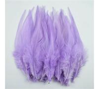 20Pcs Pheasant Feathers for Needlework DIY Jewelry Small Chicken Plume Fly Tying Materials Dark 2(Light Purple 2)