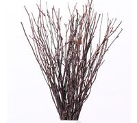 20Pcs Real Dried Birch Twigs - 17" Natural Decorative Birch Branches for Vase, Centerpiece, Sticks for DIY Crafts, Twig Wreath, Flower Arrangement, Plants for Rustic Home Wedding Decor