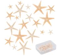 20PCS Real Starfish for Beach Crafts, Wedding Decor, Theme Party, Home Decoration, DIY Projects, Fish Tank, Holiday Decor - Small Ocean Stars