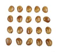 20pcs Realistic Foam Potato Vegetable Molds for Simulation and Decorative Use in Culinary and Food Presentation Areas