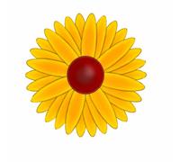 20Pcs Sunflower Window Fly Stickers, Indoor Kitchen Sticky Fruit Fly Traps