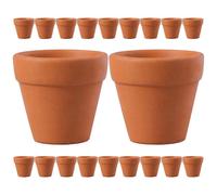 20pcs Terracotta Plant Pots Mini Flower Pots Terracotta Flower Pots Garden Pots Small Terracotta Pots Bulk Tiny Terracotta Flower Pots