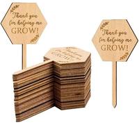20Pcs Thank You for Helping Me Grow Succulent Tags Teacher Appreciation Gifts, Hexagon Plant Stakes Labels Gift for Mother's Day Christmas Thanksgiving Baby Shower