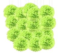 20pcs Tissue Paper Pom Poms - Fruit Green - 8 Inch - Tissue Paper Pompoms for Engagement, Wedding, Birthday Party Deco