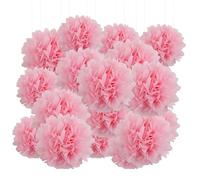 20pcs Tissue Paper Pom Poms - Light Pink - 6 Inch - Tissue Paper Pompoms for Engagement, Wedding, Birthday Party Deco