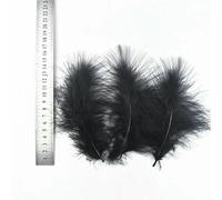20pcs Variety of Black Feathers Rooster Goose Feathers Ostrich Pheasant Feathers for Crafts Carnaval Assesoires Feather Decor-10-15CM 4-6inch_a