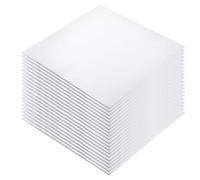 20Pcs White Fabric Squares Precut Cotton Cloth Solid Colors Quilting Fabric for DIY Craft Sewing Making (9.8 × 9.8Inch)