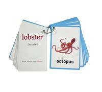 20Sheet Marine Animal Teaching Word Cards 11x8cm Sea Creature Flashcards Educational Vocabulary Study Card For Kids Marine Life English Vocabulary Cards