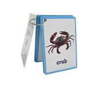 20Sheet Sea Animal Flashcards Toddler Early Learning Word Card 11cmx8cm Marine Life Teaching Flashcards for Kindergarten Marine Life English Vocabulary Cards