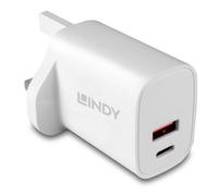 Lindy 20W USB Type A & C Fast Charger Plug, UK Fast Charging Plug For for iPhone, iPad, Samsung Galaxy,Dual Port Power Adaptor USB C Wall Plug