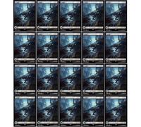 20x Magic The Gathering Final Fantasy Full Art Lands - MTG - Swamp #302 (Non-Foil)