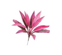 21.6 Inch Silk Leaf Artificial Cordyline, 17 Leaves Lifelike Multicolored Ornament Low Upkeep For Living Room Office Garden Event Decor(18-branch)